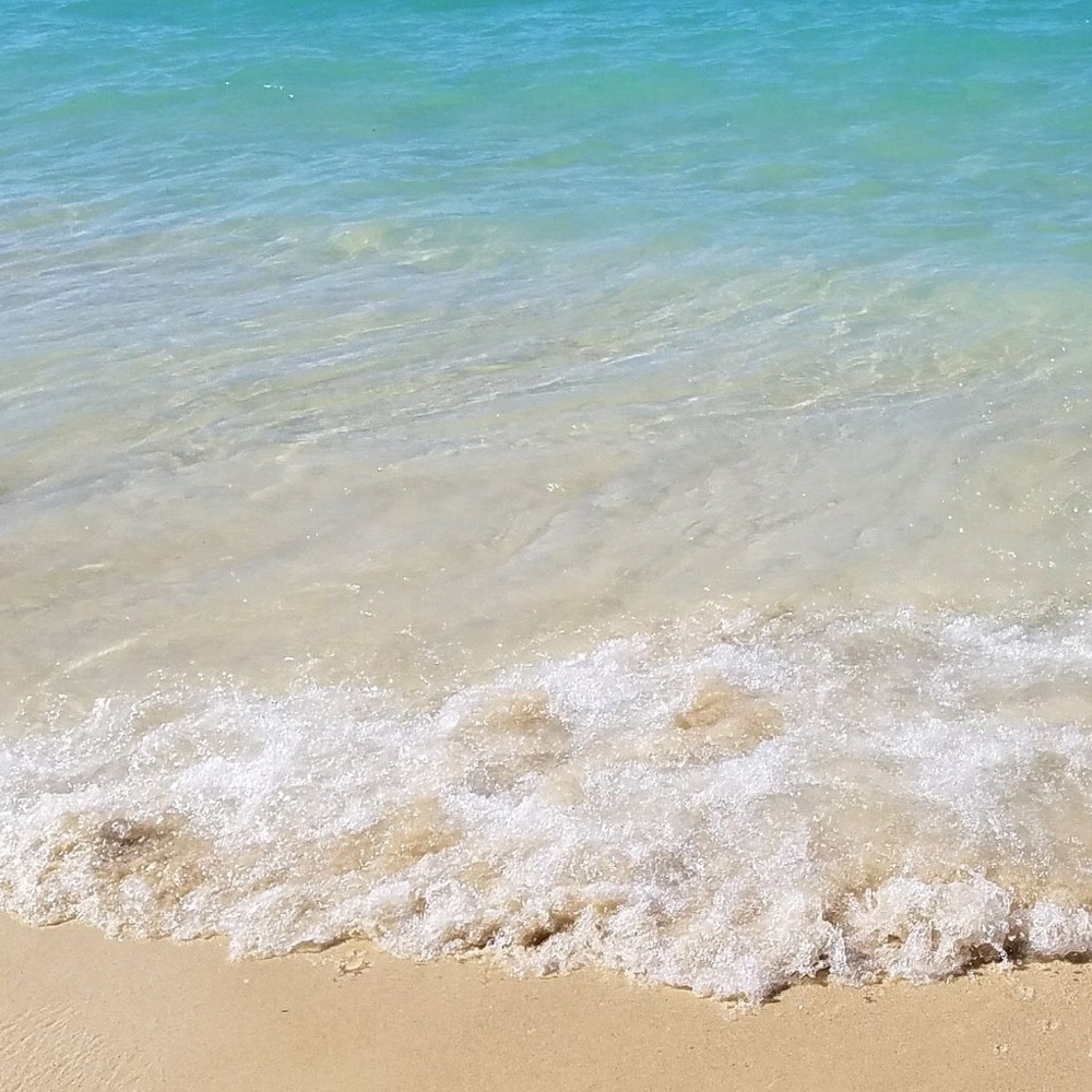 Meet your Posher, Jordan